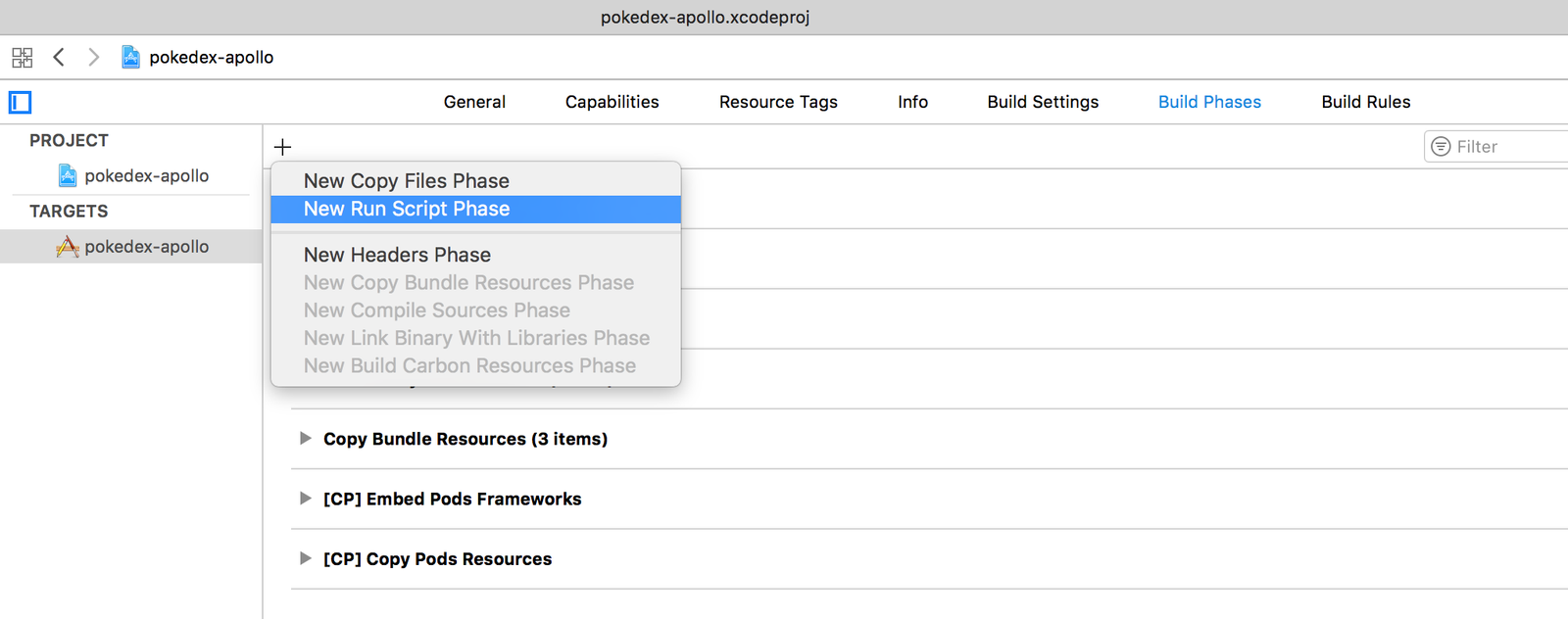 Add a Run Script Phase Add a Run Script Phase